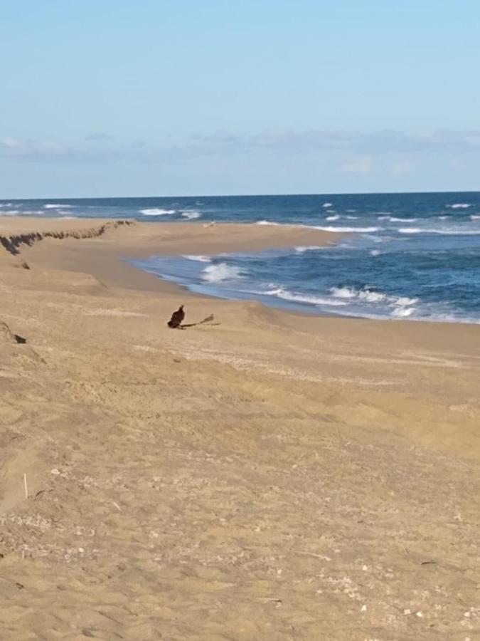 Nio De Baixo Villa La Pedrera Eksteriør bilde